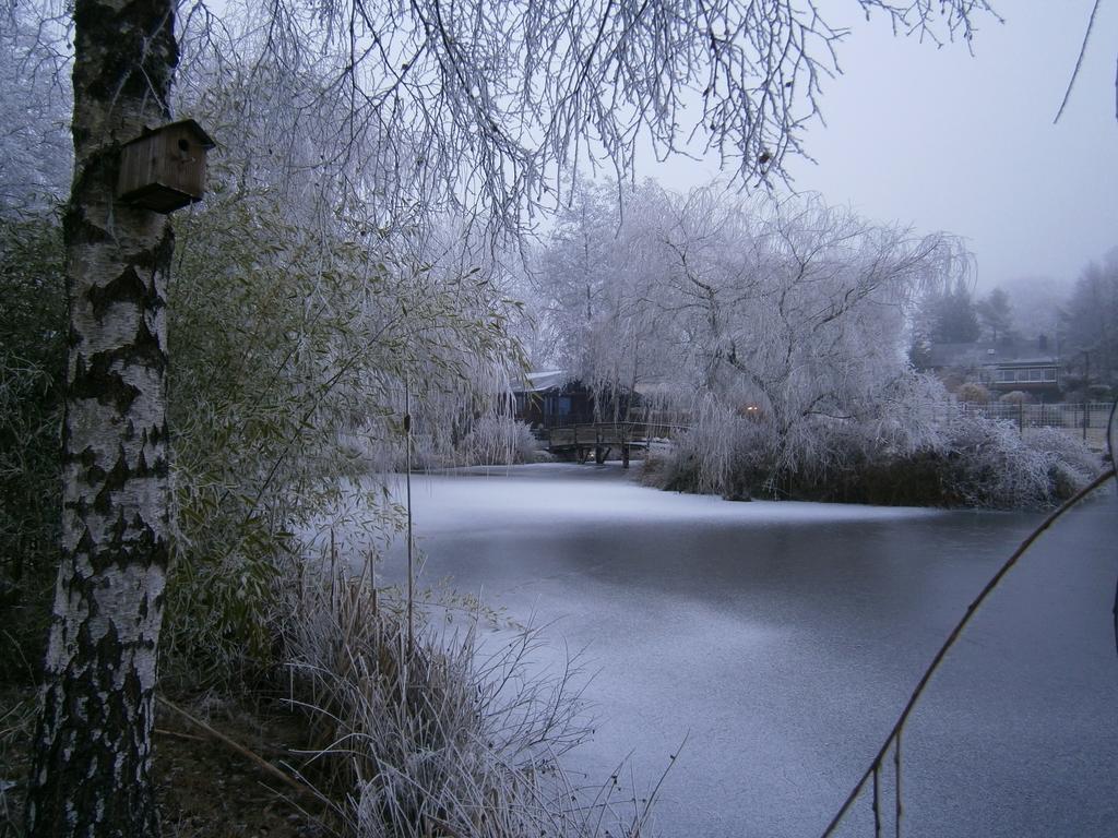 Le Chalet Pré de la Fontaine Paliseul Extérieur photo